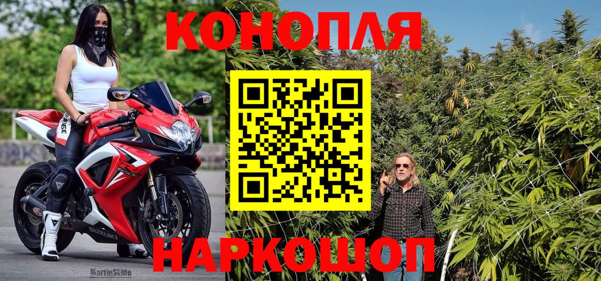 Шишки марихуана семена Ржев